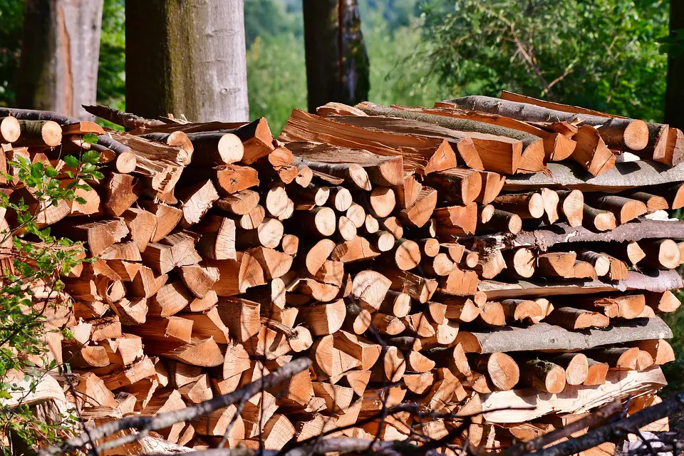 Read more about the article Buy Premium Firewood Online in Europe & USA – Trusted Wood Traders